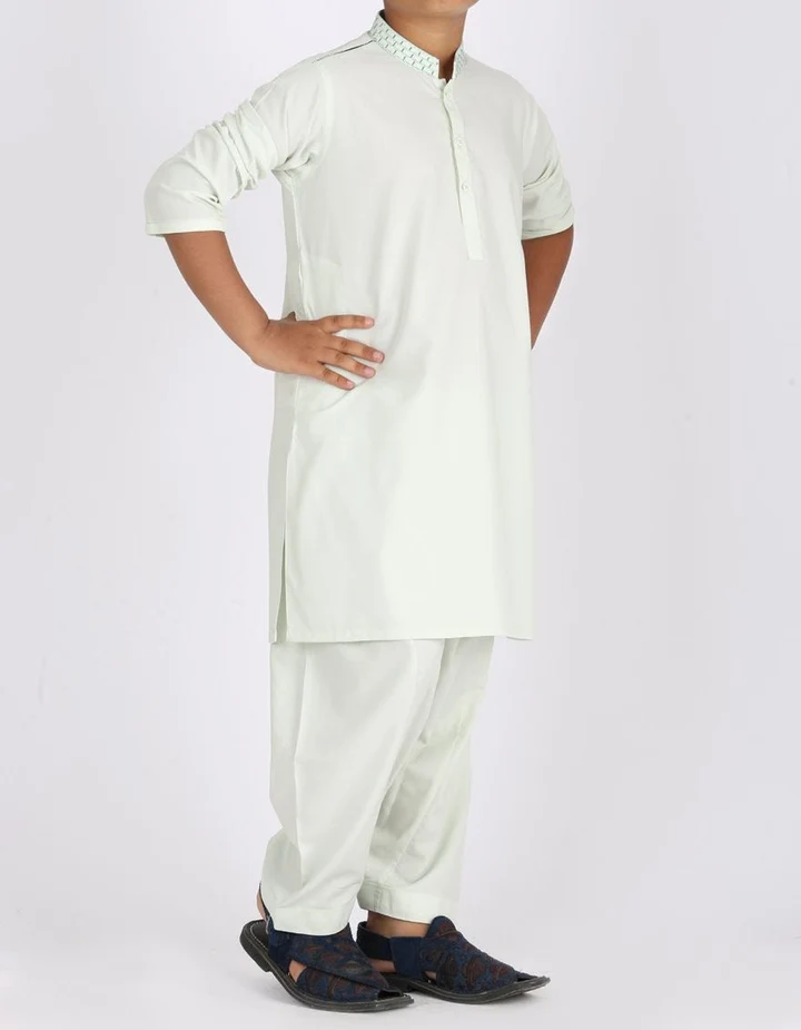 Pakistani Machine Embroidered Light Green Dress K2313